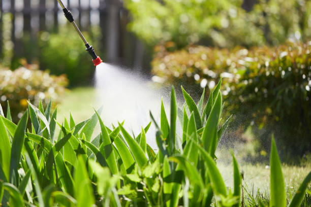 24/7 Emergency Mosquito Control experts in West Vero Corridor, FL