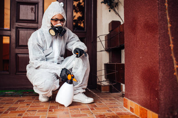 Reliable Mosquito Control contractor in West Vero Corridor, FL by Show Me Pest Control